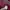 Oioi Streetwear Y2K Pria burgundy photo 3