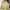 Vintage Y2K Fur coat Wanita cream photo 1