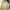 Vintage Y2K Fur Coat Wanita Cream