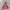 Vintage Streetwear Hoody Pria burgundy photo 4