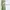 Fairy Coquette Summer dress Wanita white green photo 1