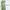 Fairy Coquette Summer Dress Wanita White Green