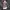 Goth Emo Vest Wanita brown gray photo 2