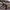 Gramicci Streetwear Casual Short Pria multicolor photo 7