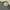 Spao Sportswear Futurist Sweatpants & Joggers Pria gray photo 4