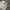 Spao Sportswear Futurist Sweatpants & Joggers Pria gray photo 3