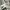 Japanese brand Vintage Y2K Casual shirt Pria green white photo 2