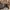 Tory Burch Casual Tote bag Wanita tan photo 3