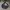 Champion Sportswear Track jacket Pria black photo 1