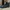 Lacoste Streetwear Casual shoe Pria black photo 3