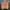 Gucci Luxury Sweatshirt Pria Tan Brown