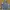 VANS Vintage Windbreaker Pria green orange photo 1