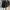 Bimba Y Lola Streetwear Casual Backpack Wanita Black