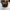 Vintage Luxury Crossbody Bag Wanita gold black photo 2