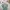 Uniqlo Streetwear T-shirt Pria green photo 4