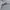 Amble Streetwear Casual Hoody Pria gray photo 4