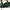 Lacoste Casual Polo shirt Pria green photo 7