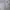 Fear of God ESSENTIALS Streetwear Luxury Short Pria gray photo 2