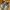 Nike Streetwear Sportswear Sneakers Pria white gray photo 4