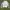Adidas Casual Chelsea boots Pria white photo 1