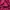 Casual Windbreaker Wanita pink photo 3