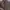 Casual Track jacket Pria gold tan photo 1