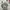 Adidas Vintage Streetwear T-shirt Pria gray photo 5