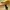 Polo Ralph Lauren Luxury Sportswear Polo Shirt Pria Yellow