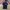 Champion Casual T-shirt Pria navy photo 1