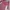 Luxury Bodycon dress Wanita multicolor photo 2