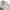 MLB Streetwear Sportswear Hoody Pria gray photo 4