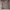 Luxury Bodycon Dress Wanita Tan