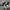 Nike Streetwear Goth Sneakers Pria black photo 4