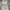 Casual Going out dress Wanita white photo 1