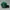 Streetwear Casual Hat Pria green black photo 3
