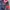 Adidas Sportswear Jersey Pria navy red photo 2