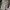Stone Island Casual Suit Pria multicolor photo 5