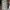 Stone Island Casual Suit Pria multicolor photo 1