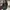 Stone Island Casual Suit Pria multicolor photo 2