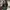 Stone Island Casual Suit Pria Multicolor