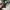 Stone Island Casual Suit Pria multicolor photo 4