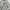 Sportswear Casual Windbreaker Pria gray photo 6