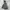 Sportswear Casual Windbreaker Pria gray photo 7