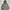 Sportswear Casual Windbreaker Pria gray photo 1