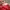 Nike Vintage Hat Pria red photo 4