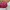 Nike Casual Gym bag Wanita pink photo 4