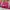 Nike Casual Gym bag Wanita pink photo 2