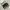Y2K Shoulder bag Wanita white black photo 2