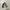 Y2K Shoulder bag Wanita white black photo 4