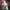 Adidas Casual Track jacket Pria red photo 4